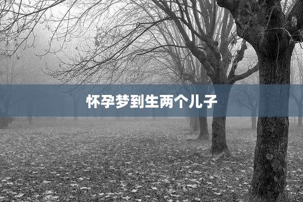 怀孕梦到生两个儿子
