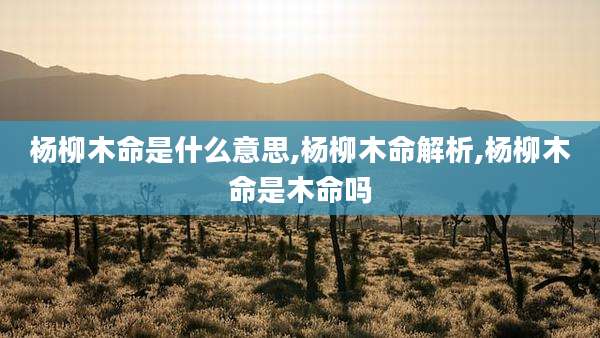 杨柳木命是什么意思,杨柳木命解析,杨柳木命是木命吗