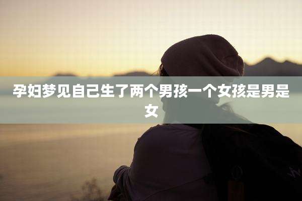 孕妇梦见自己生了两个男孩一个女孩是男是女