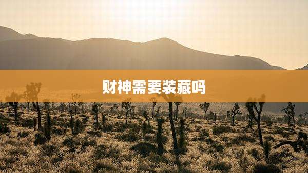 财神需要装藏吗