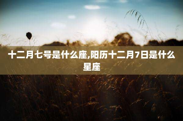 十二月七号是什么座,阳历十二月7日是什么星座