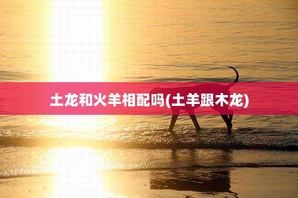 土龙和火羊相配吗(土羊跟木龙)