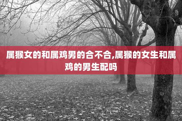 属猴女的和属鸡男的合不合,属猴的女生和属鸡的男生配吗
