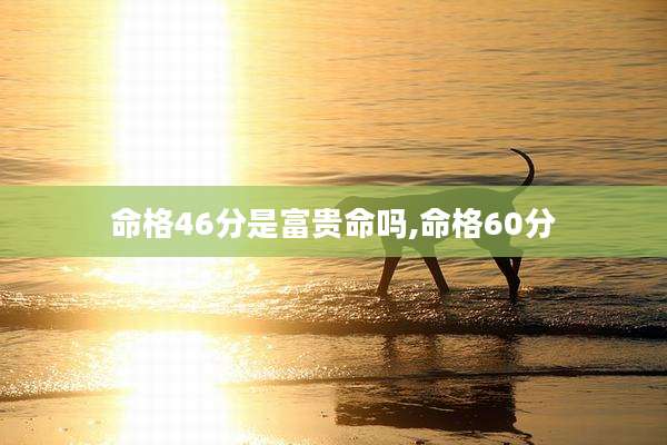 命格46分是富贵命吗,命格60分