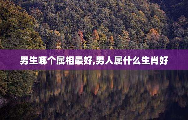 男生哪个属相最好,男人属什么生肖好
