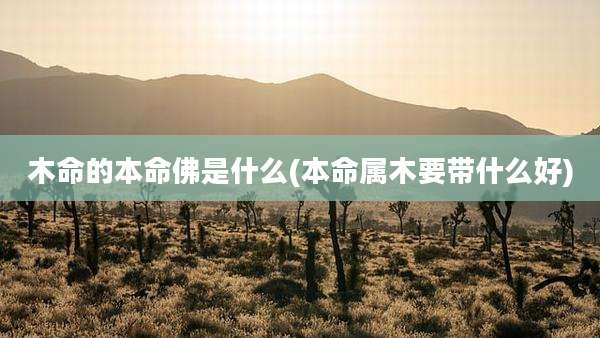 木命的本命佛是什么(本命属木要带什么好)