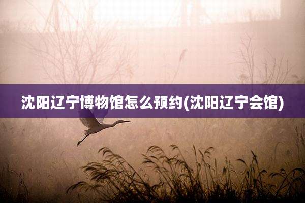 沈阳辽宁博物馆怎么预约(沈阳辽宁会馆)