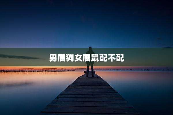 男属狗女属鼠配不配
