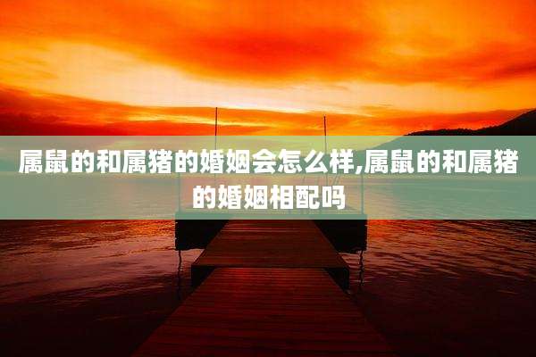 属鼠的和属猪的婚姻会怎么样,属鼠的和属猪的婚姻相配吗