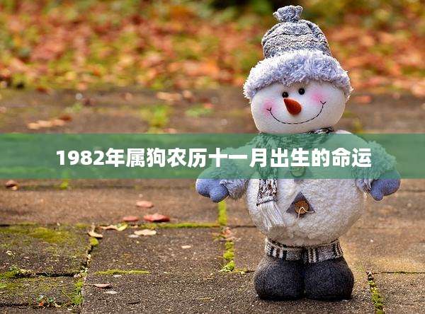 1982年属狗农历十一月出生的命运