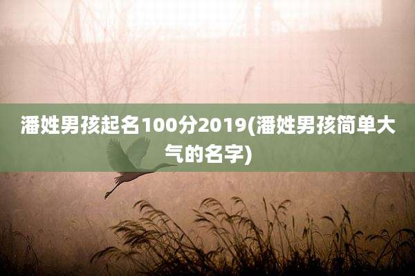 潘姓男孩起名100分2019(潘姓男孩简单大气的名字)