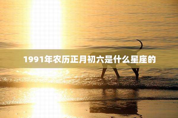 1991年农历正月初六是什么星座的