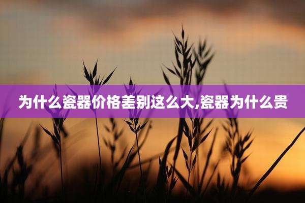 为什么瓷器价格差别这么大,瓷器为什么贵