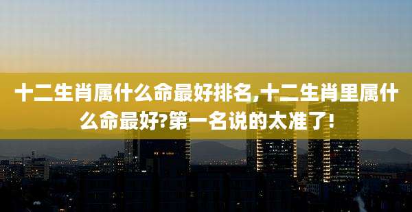 十二生肖属什么命最好排名,十二生肖里属什么命最好?第一名说的太准了!