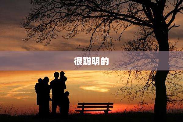 很聪明的