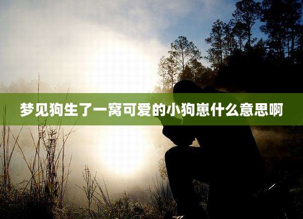 梦见狗生了一窝可爱的小狗崽什么意思啊