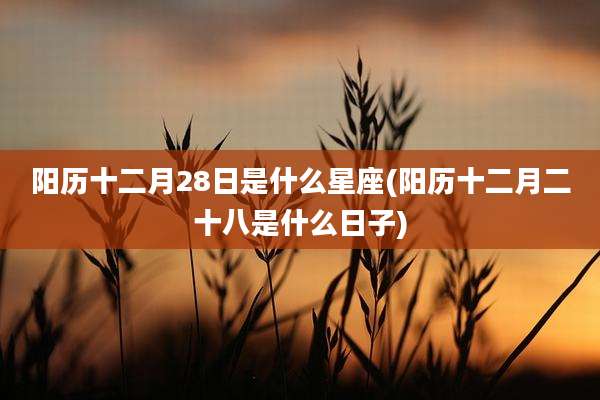 阳历十二月28日是什么星座(阳历十二月二十八是什么日子)