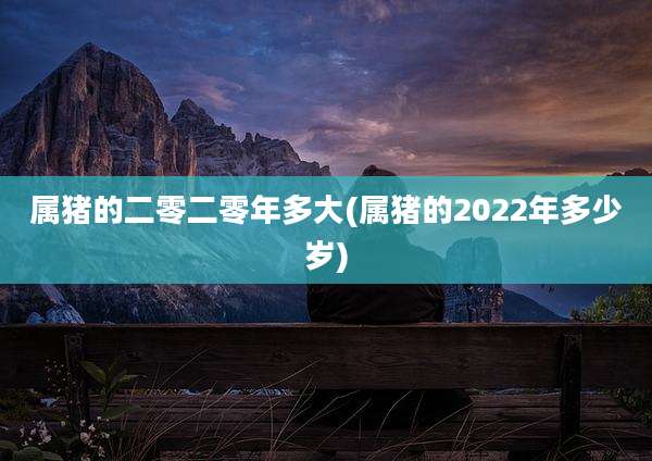 属猪的二零二零年多大(属猪的2022年多少岁)