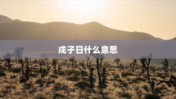 戌子日什么意思