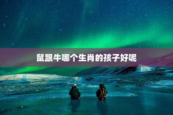鼠跟牛哪个生肖的孩子好呢