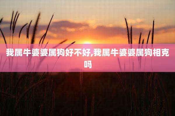 我属牛婆婆属狗好不好,我属牛婆婆属狗相克吗