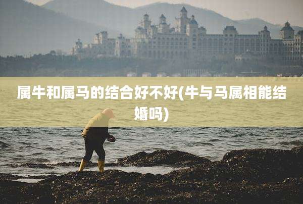 属牛和属马的结合好不好(牛与马属相能结婚吗)