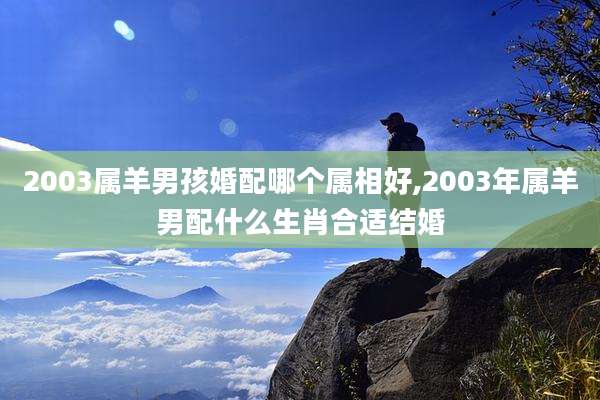 2003属羊男孩婚配哪个属相好,2003年属羊男配什么生肖合适结婚