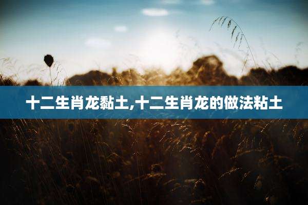 十二生肖龙黏土,十二生肖龙的做法粘土
