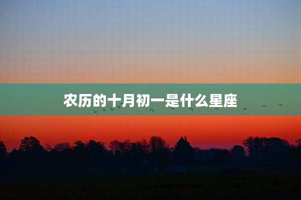 农历的十月初一是什么星座