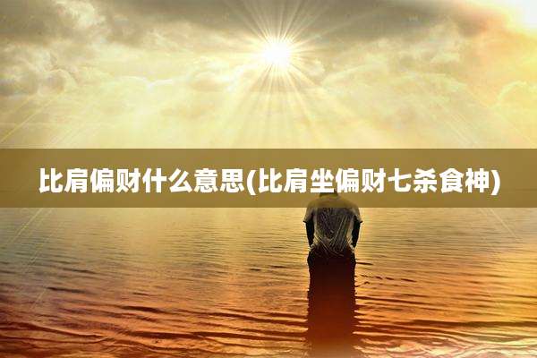 比肩偏财什么意思(比肩坐偏财七杀食神)