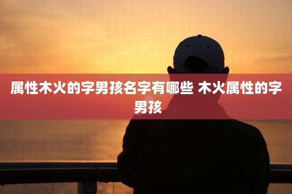 属性木火的字男孩名字有哪些 木火属性的字 男孩