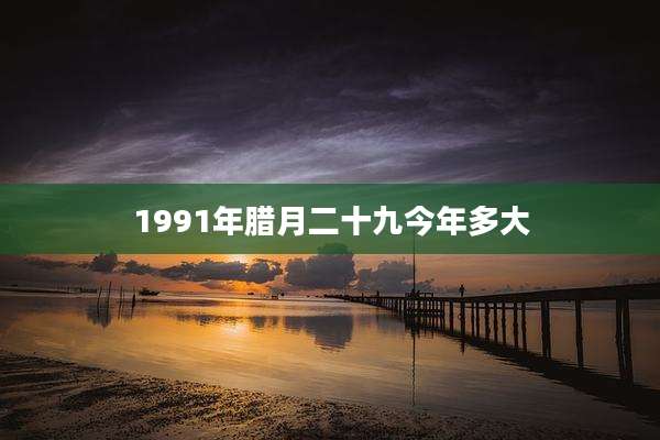 1991年腊月二十九今年多大