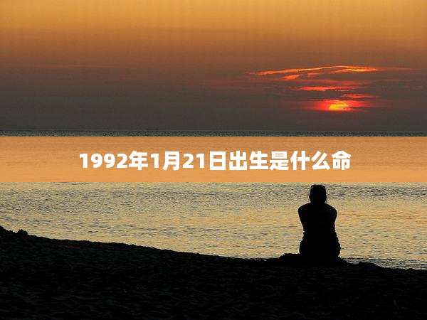 1992年1月21日出生是什么命