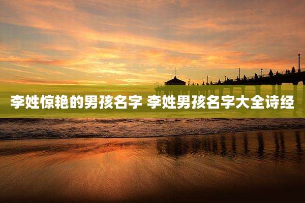 李姓惊艳的男孩名字 李姓男孩名字大全诗经