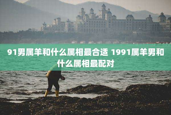 91男属羊和什么属相最合适 1991属羊男和什么属相最配对