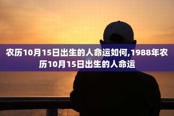 农历10月15日出生的人命运如何,1988年农历10月15日出生的人命运