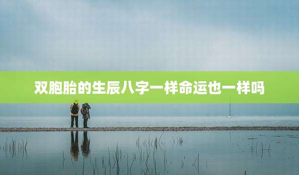 双胞胎的生辰八字一样命运也一样吗