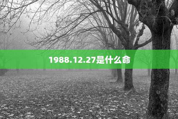 1988.12.27是什么命
