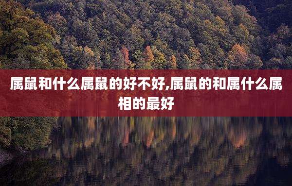 属鼠和什么属鼠的好不好,属鼠的和属什么属相的最好