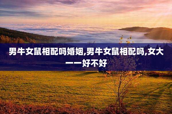 男牛女鼠相配吗婚姻,男牛女鼠相配吗,女大一一好不好