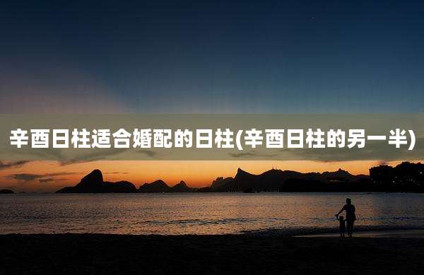 辛酉日柱适合婚配的日柱(辛酉日柱的另一半)