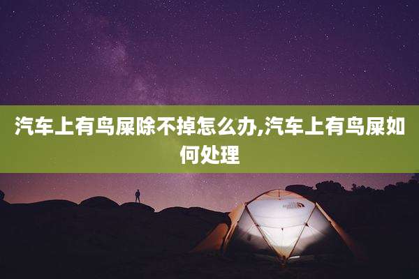 汽车上有鸟屎除不掉怎么办,汽车上有鸟屎如何处理