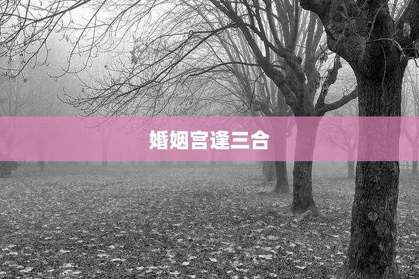 婚姻宫逢三合