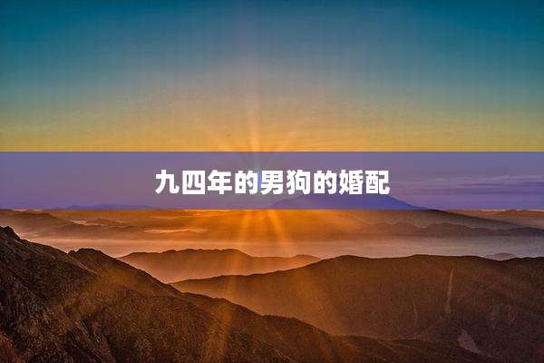 九四年的男狗的婚配