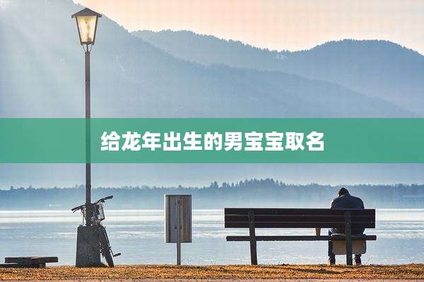 给龙年出生的男宝宝取名