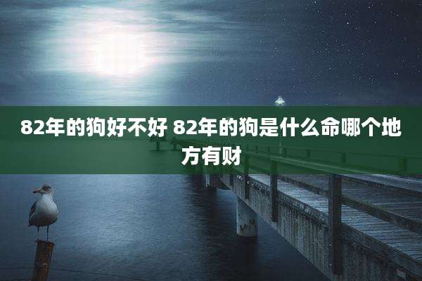 82年的狗好不好 82年的狗是什么命哪个地方有财