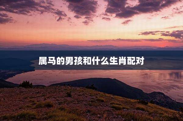 属马的男孩和什么生肖配对