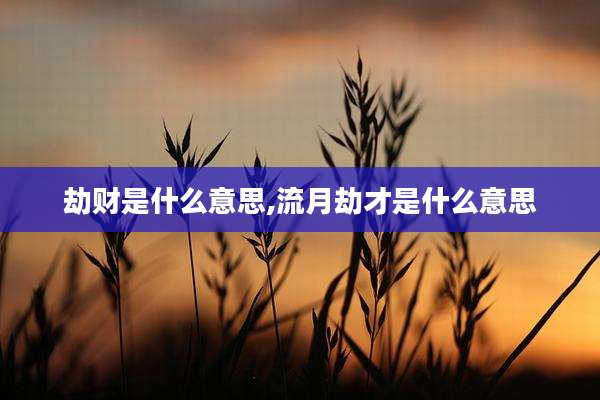 劫财是什么意思,流月劫才是什么意思