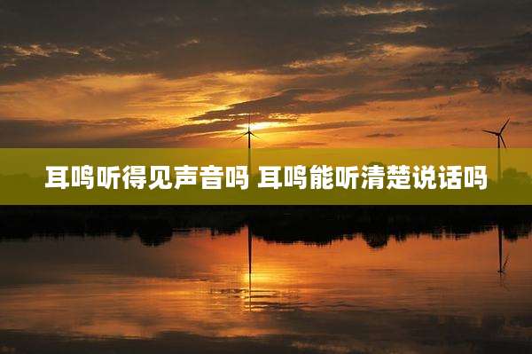 耳鸣听得见声音吗 耳鸣能听清楚说话吗