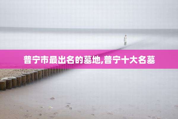 普宁市最出名的墓地,普宁十大名墓